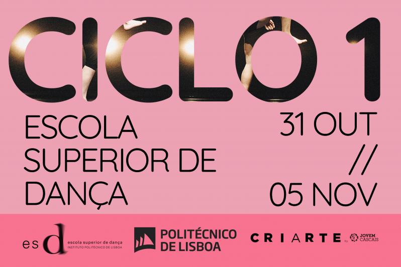 img ciclo1