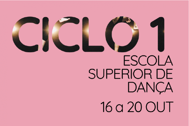 imagem ciclo 1