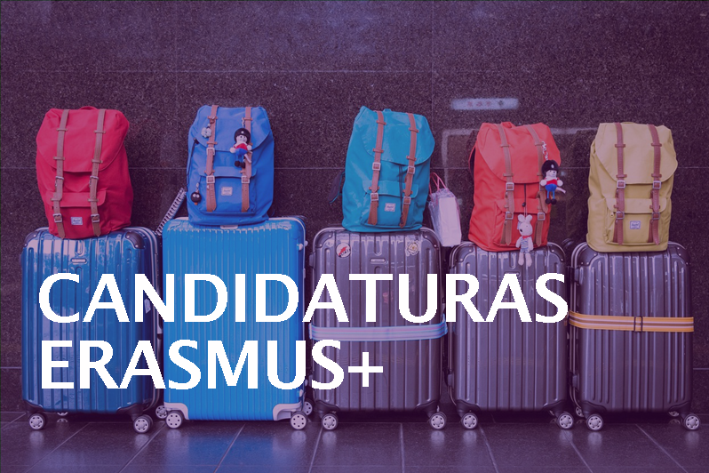 malas de viagem e mochilas