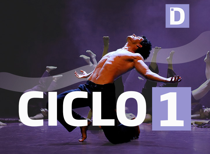 imagem ciclo 1, 2025-26