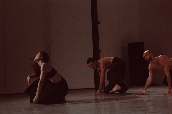 Ciclo 3