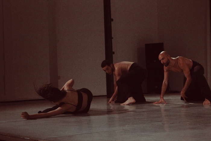 Ciclo 3