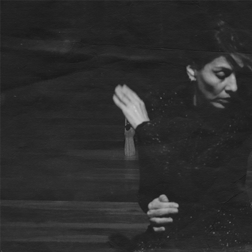 foto daniela guimarães