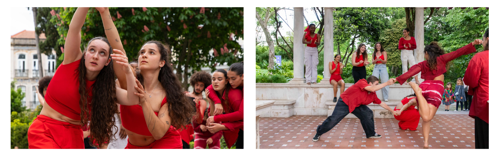 performance no jardim