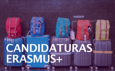 malas de viagem e mochilas